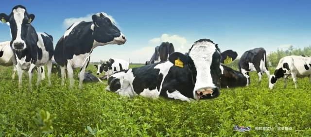 欧亚传媒全面服务中国快消品品牌(图1)